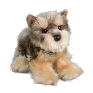 Yettie Yorkie Terrier