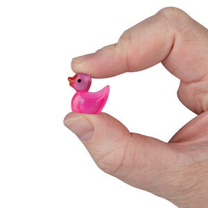 Teeny Tiny Ducks