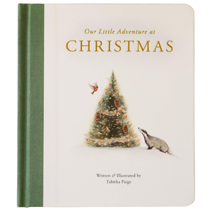 Our Little Adventure at Christmas Book