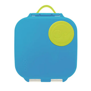Mini Silicone Lunchbox