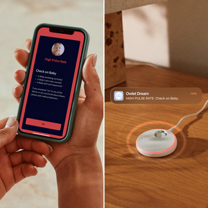 Owlet Dream Duo (Gen 3)