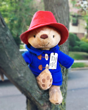 Paddington Classics