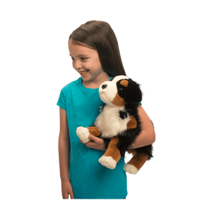 Trevor Bernese Mountain Dog