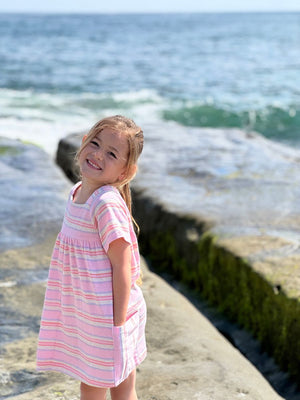 Vignette Rylie Dress / Pink Stripe
