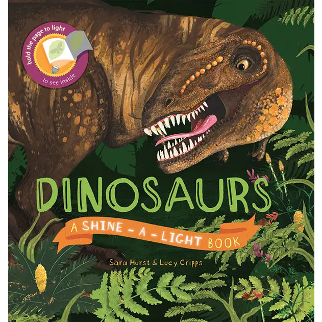 Shine-A-Light Dinosaur Book