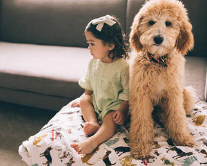 Little Unicorn Cotton Muslin Quilted Throw (60"x72") / Woof