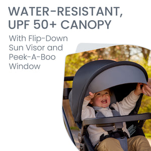 Britax Brook+ Modular Stroller - Graphite Onyx