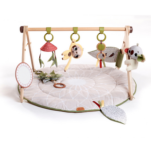 Tiny Love Boho Chic Luxe Developmental Gymini Activity Gym