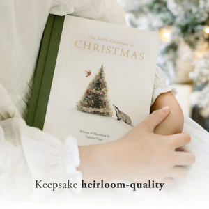 Our Little Adventure at Christmas Book