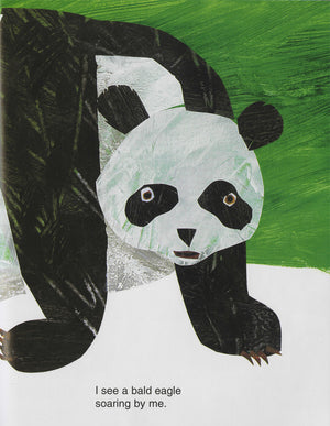 Panda Bear, Panda Bear, What Do You See?