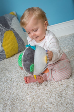 Mary Meyer Baby Einstein Zen Chime Ball***