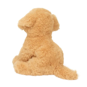 Mini Soft Goldie Golden Retriever