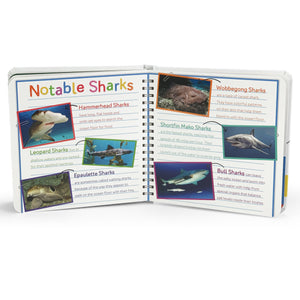 Smithsonian Kids: Sharks Teeth to Tail Board Book