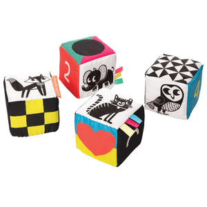 Wimmer-Ferguson Mind Cubes Set