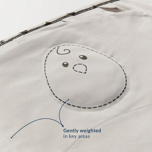 Nested Bean Zen Swaddle Classic / 0-6 Months