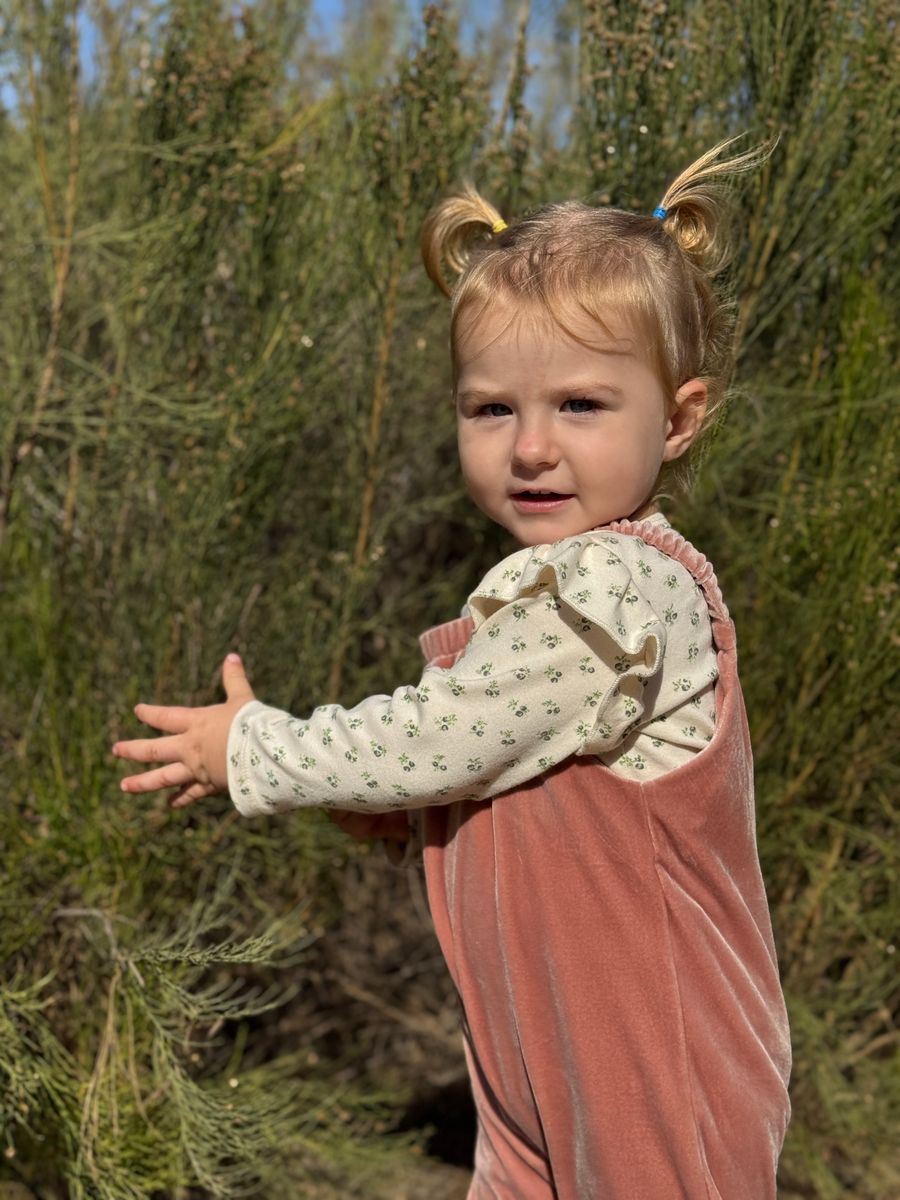 Vignette Frances Onesie / Ivory Acorns
