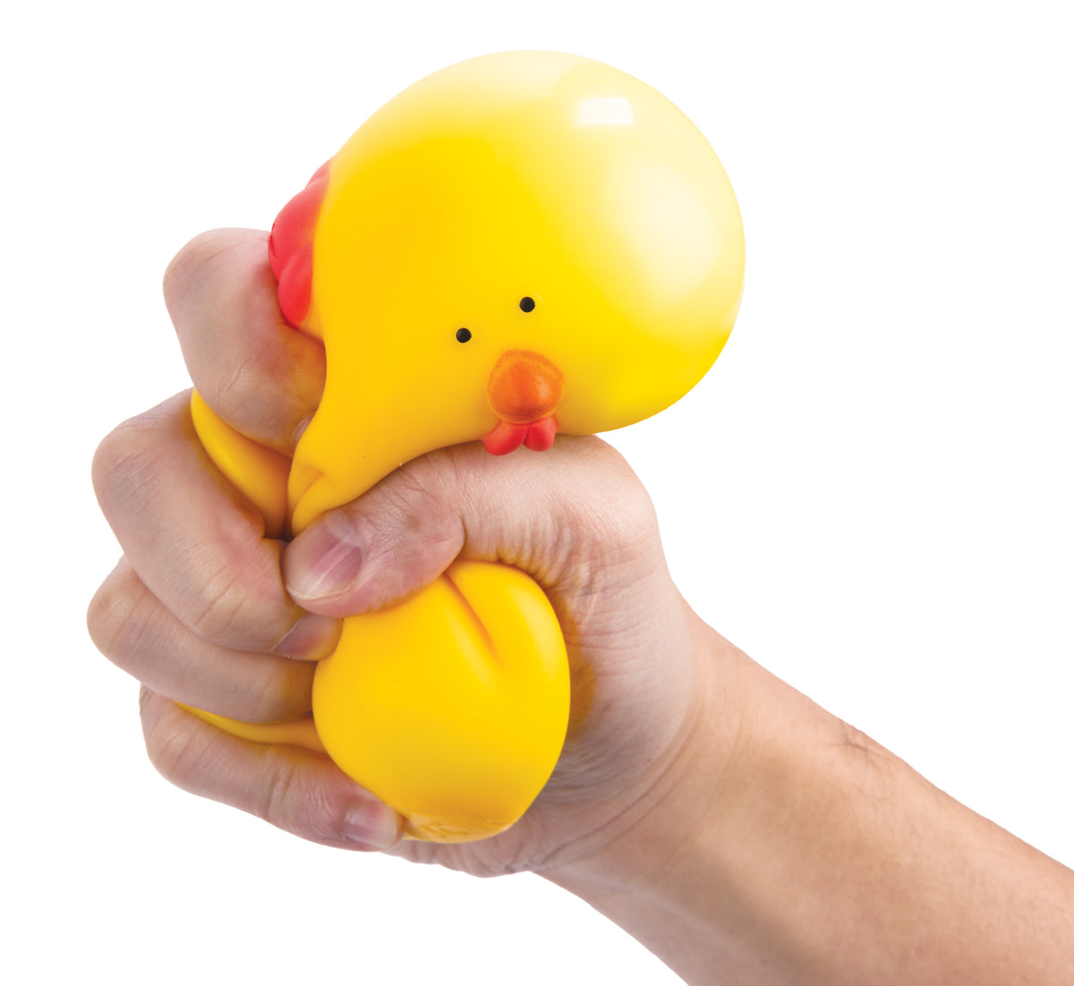 Squishy Chicken