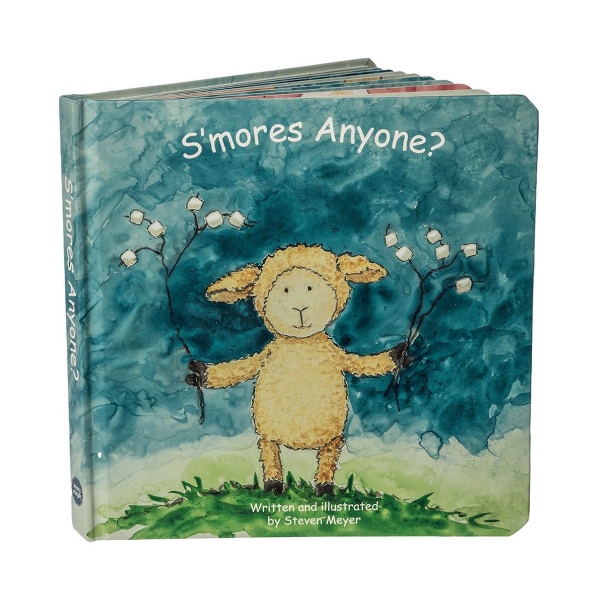 S'mores Anyone? Board Book