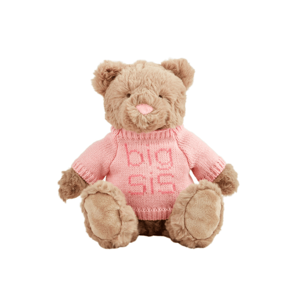 Big Sis Bear