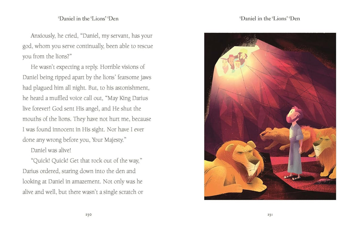 Illustrated Bible Stories Book