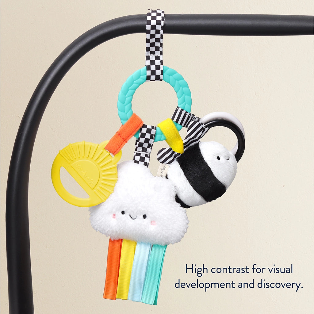 Bitzy Busy Ring Teething Activity Toy - High Contrast