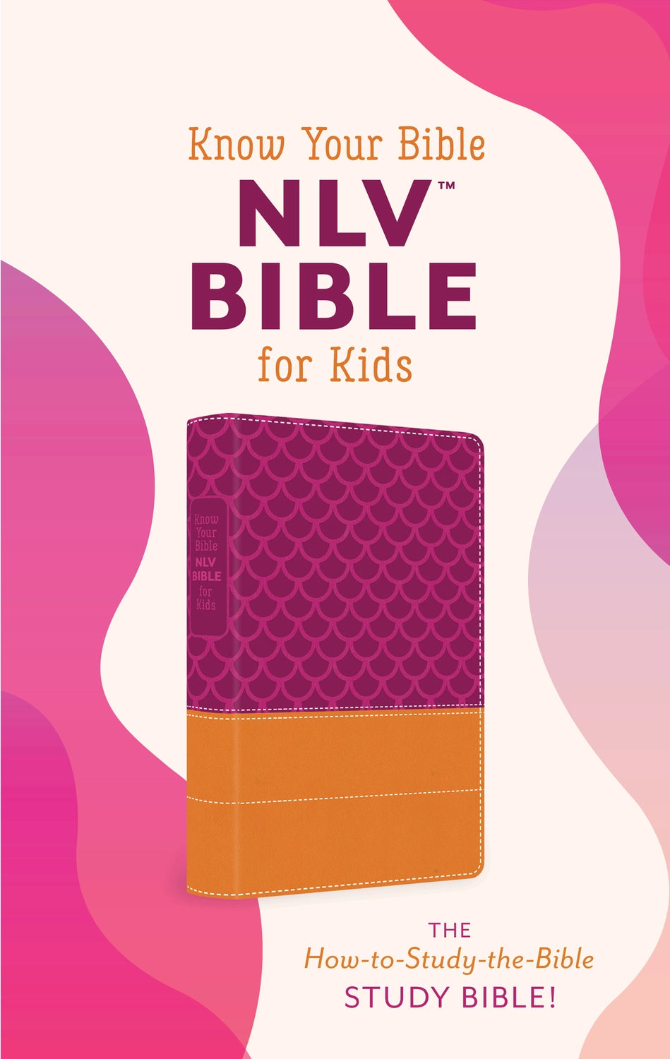 Know Your Bible NIV Bible for Kids
