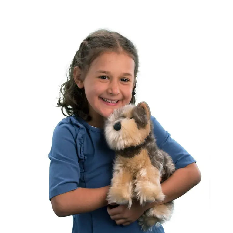 Yettie Yorkie Terrier