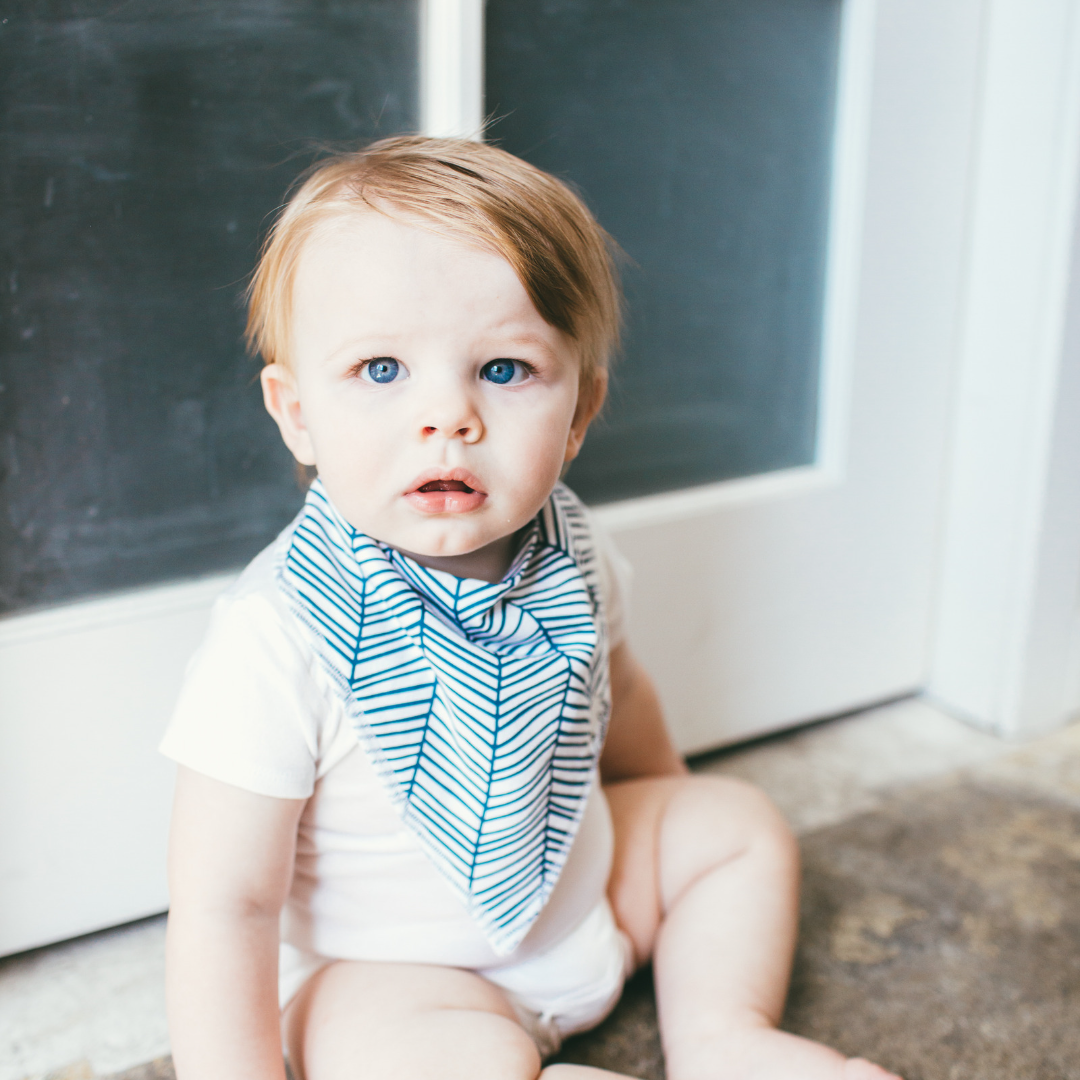 Copper Pearl Bandana Bibs / Cruise