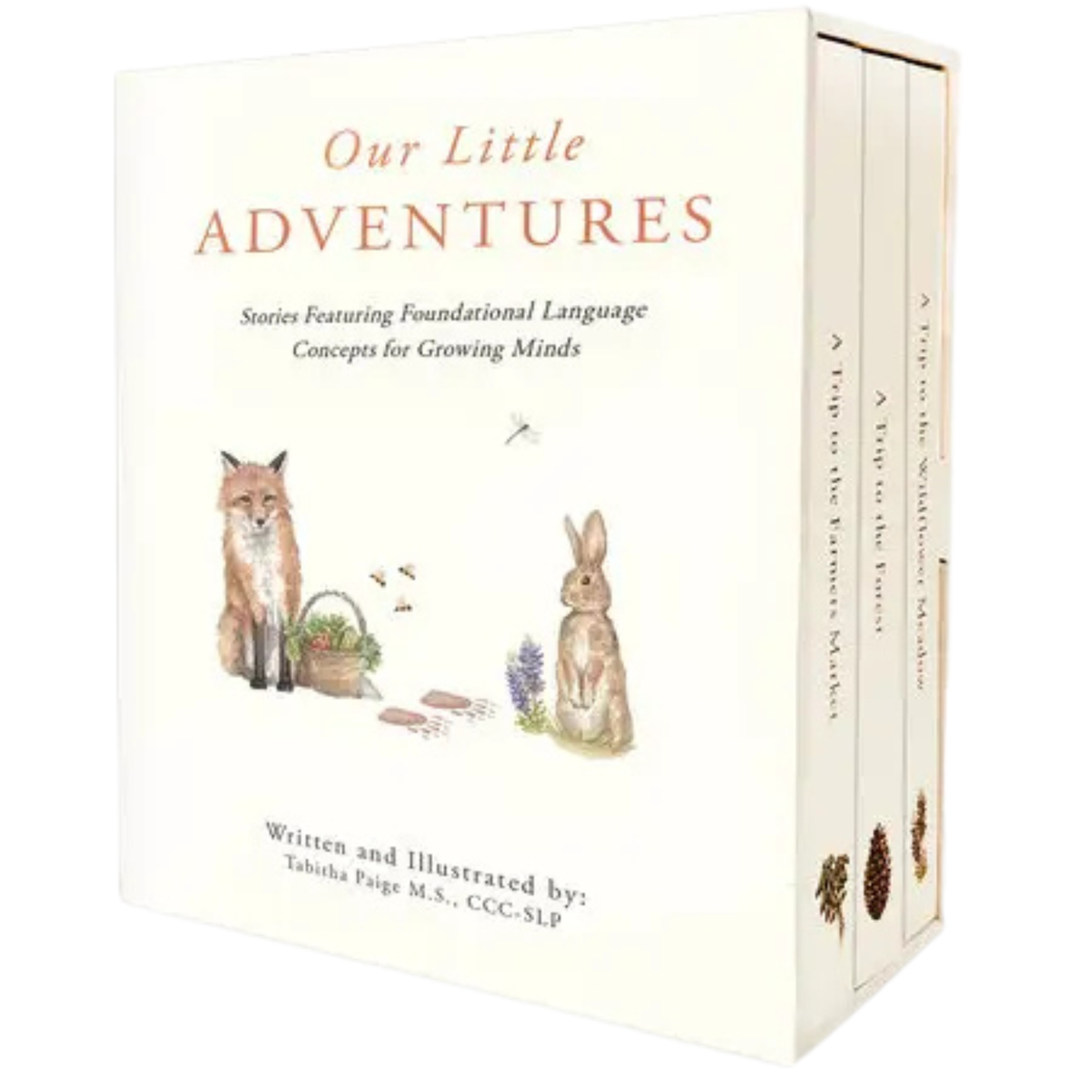 Our Little Adventures Board Books