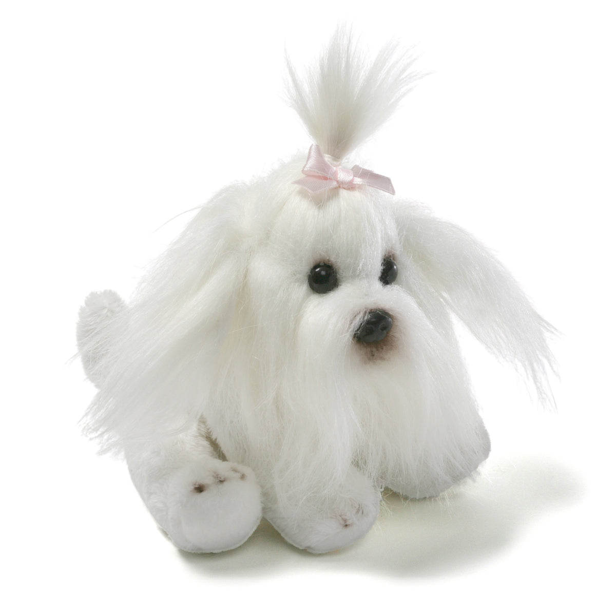 Shih Tzu Puppy - Julia