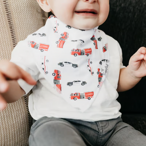 Copper Pearl Bandana Bibs / Nash