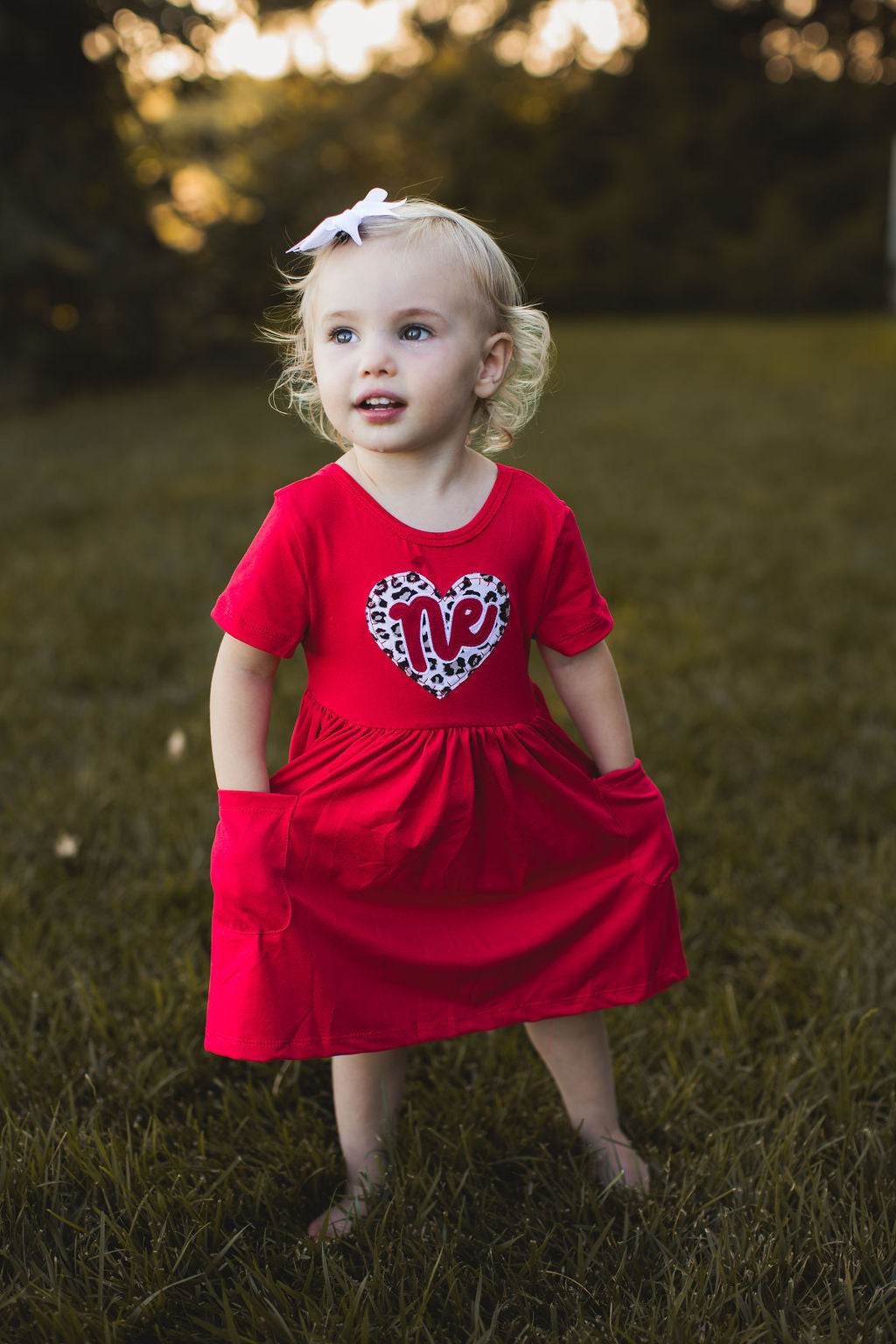 Leopard Heart Pocket Twirl Dress