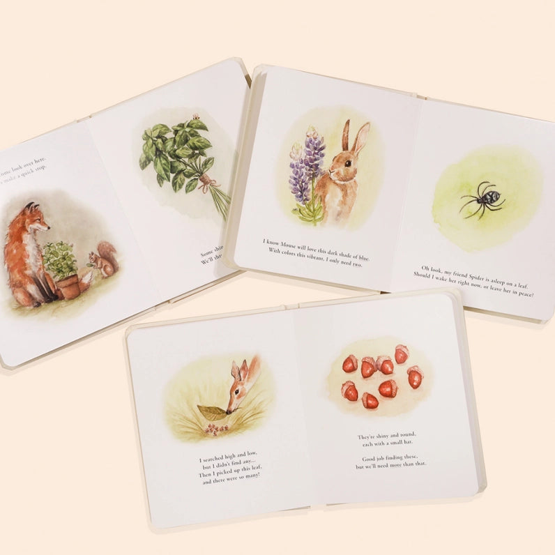Our Little Adventures Board Books