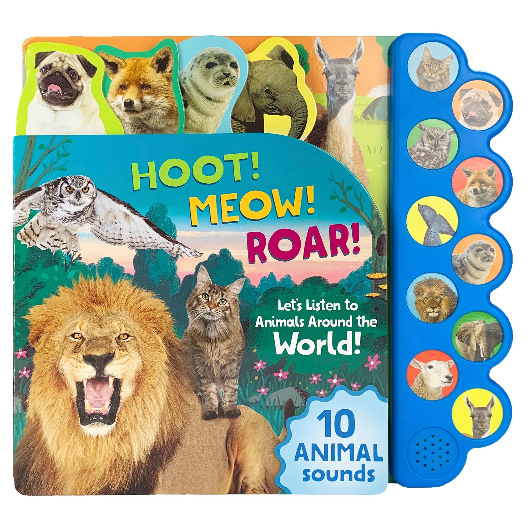 Hoot! Meow! Roar! Sound Book