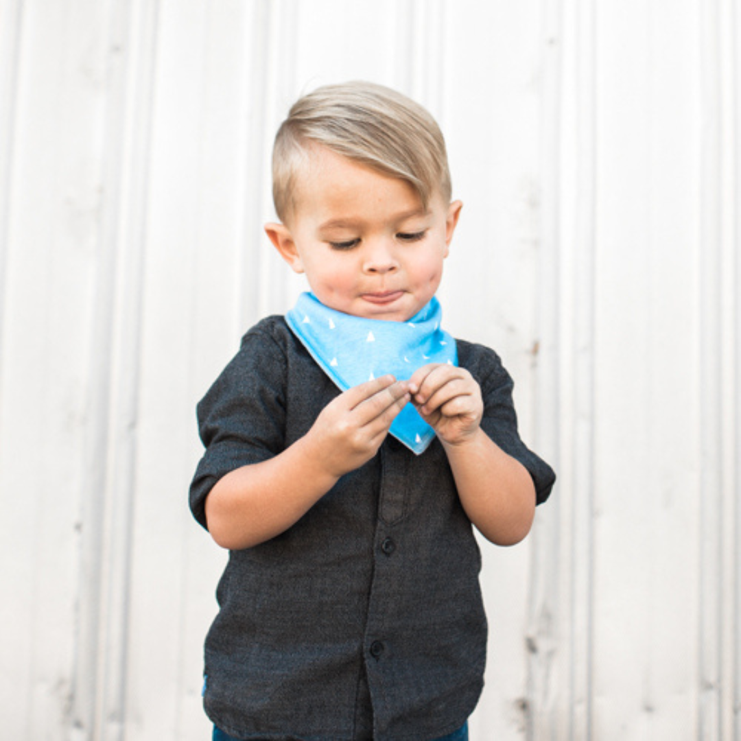 Copper Pearl Bandana Bibs / Cruise