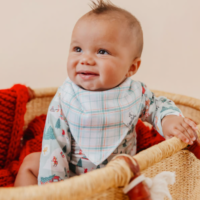 Copper Pearl Bandana Bib / Nicholas