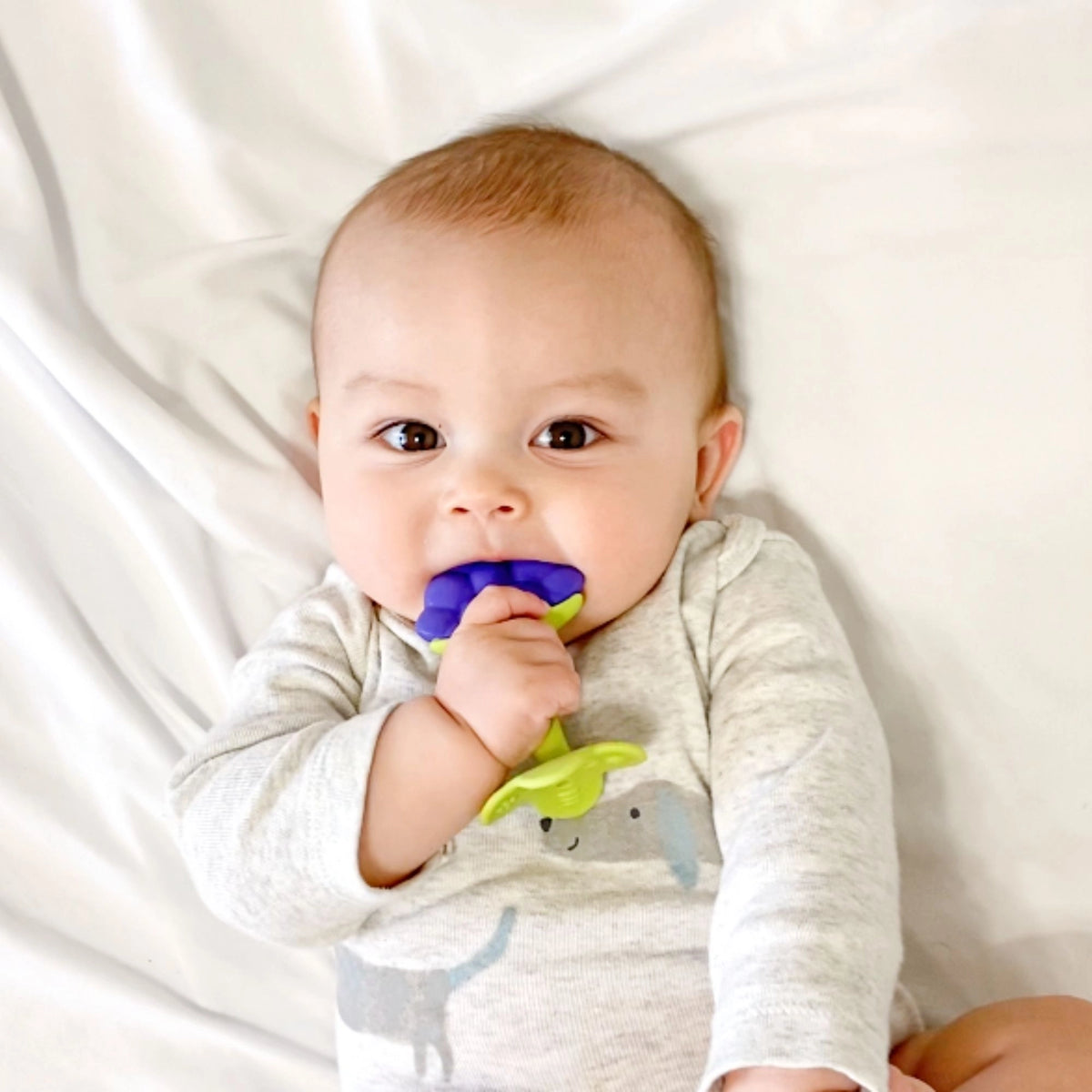 Ez Grip Baby Fruit Teether Oral Development Toy