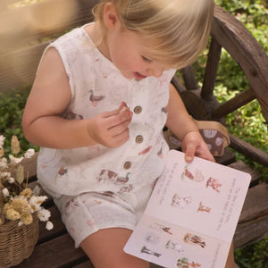 Elegant Baby Little Friends On The Farm Book