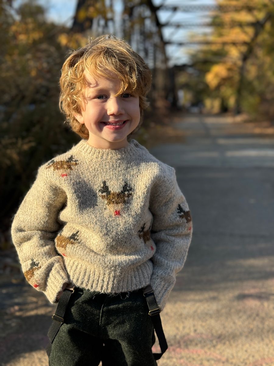 Me & Henry Rudy Sweater / Reindeer