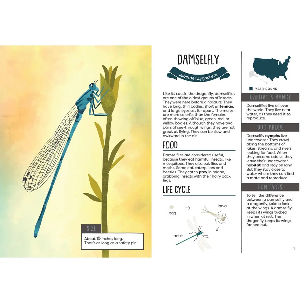 Kid's Guide to Backyard Bugs