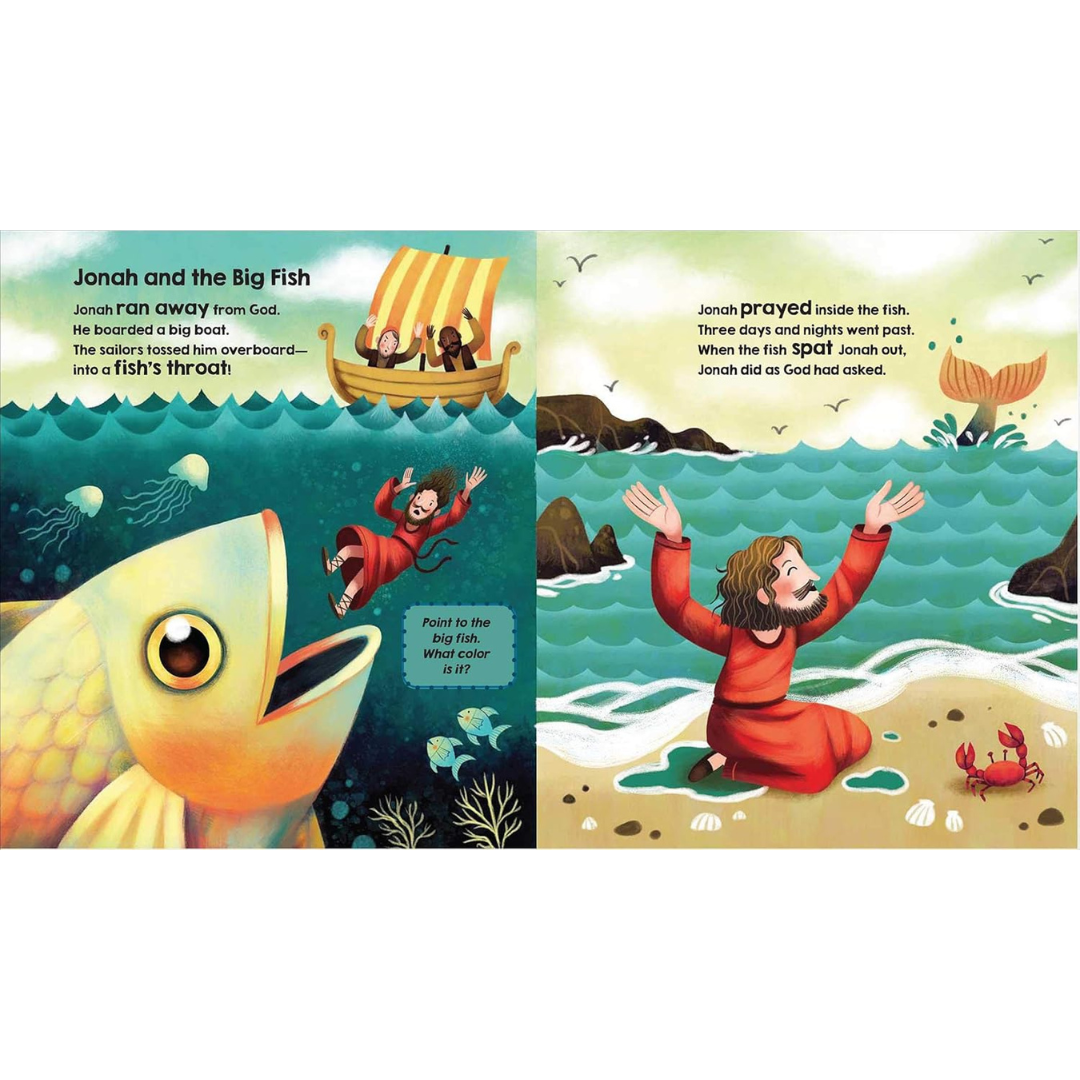 Bible Stories for Little Hands Board Book