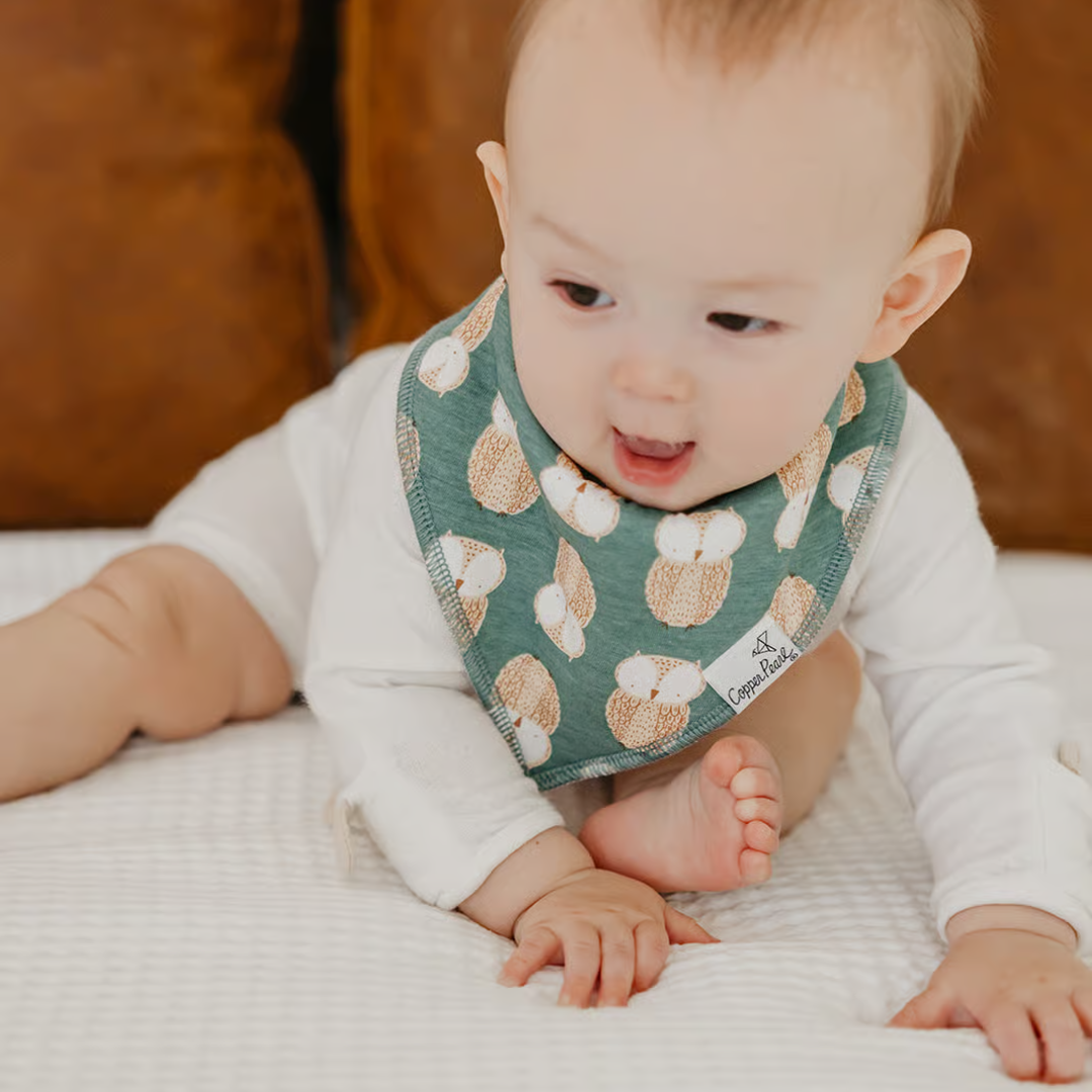 Copper Pearl Bandana Bibs / Ivy