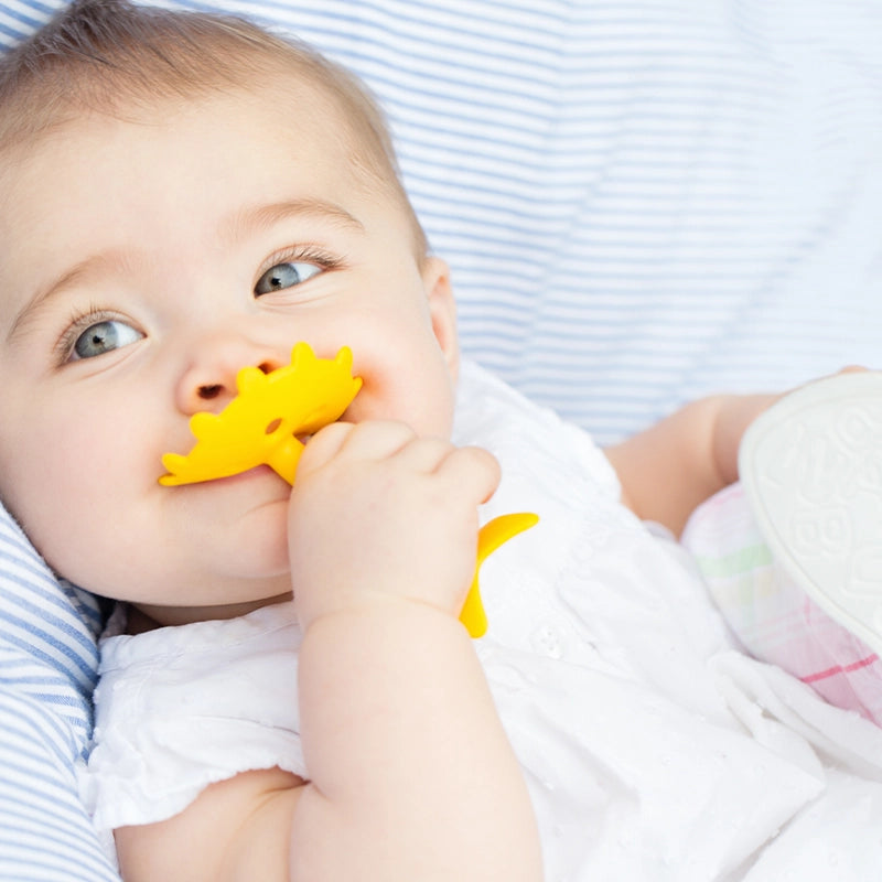 Ez Grip Star Teether Oral Develeopment Toy