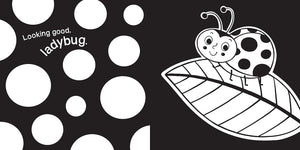 Hello, Garden Bugs Board Book