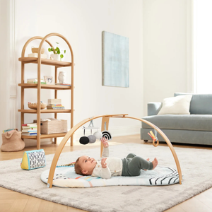 Skip Hop Discoverosity Montessori-Inspired Play Gym