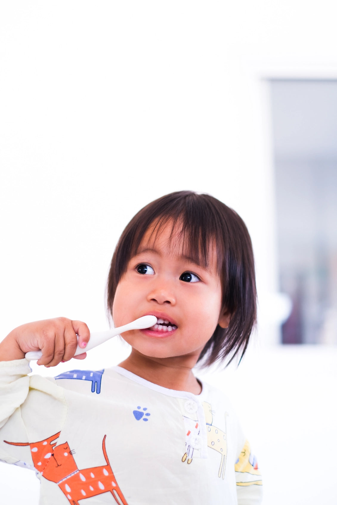 Jack N' Jill Plastic-Free Toothbrush