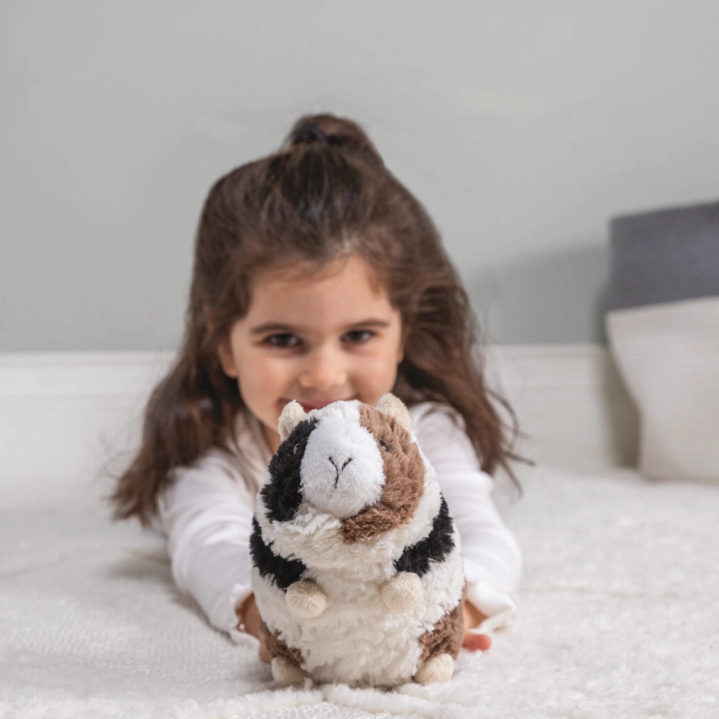 Mary Meyer Putty Gizmo Guinea Pig