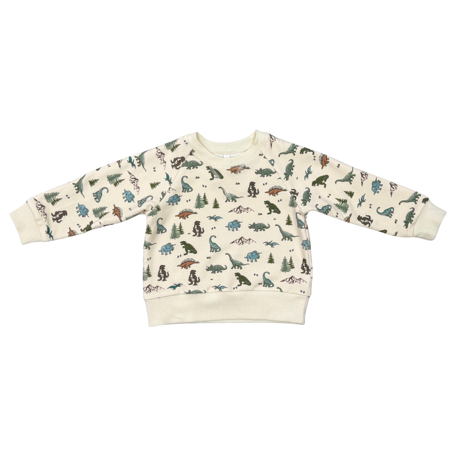Babysprouts Fleece Sweatshirt / Dino Land