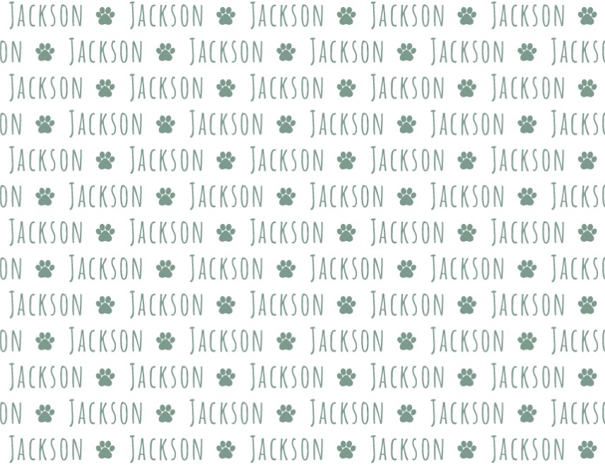 Plush Minky Fleece Personalized Blanket | Paw Icon Repeating Name