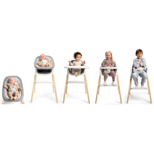 Nuna BRYN Newborn Rocker